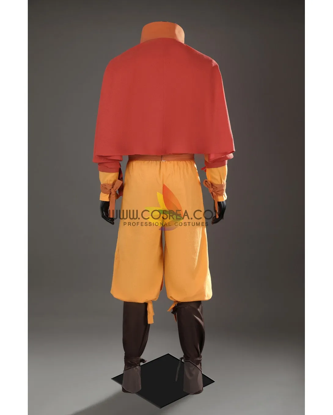 Avatar The Last Airbender Aang Custom Costume