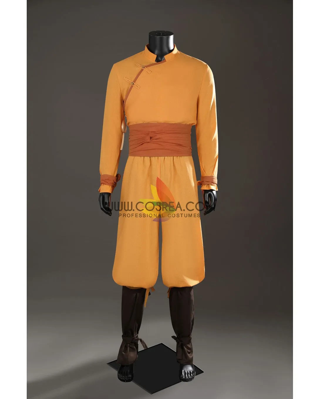 Avatar The Last Airbender Aang Custom Costume