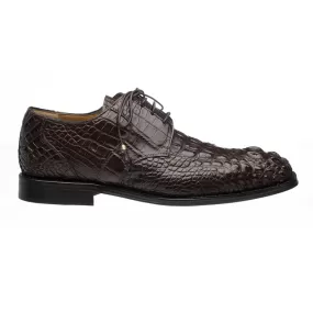 Ferrini 228 Alligator Hornback